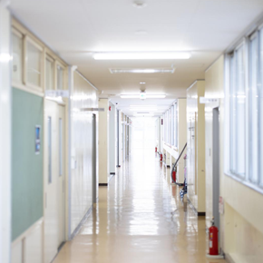 不登校という経験｜いばらの道歩き