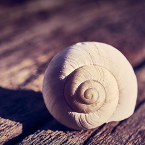 コンフォートゾーンを守るということ｜満ち足りた予定のない日々について