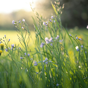 螺旋の途中の四月